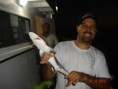 /album/pescaria-bertioga-sp-alto-mar-04-02-2012/dsc04450-800x600-jpg/
